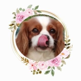 Piper O'sborg Of Love